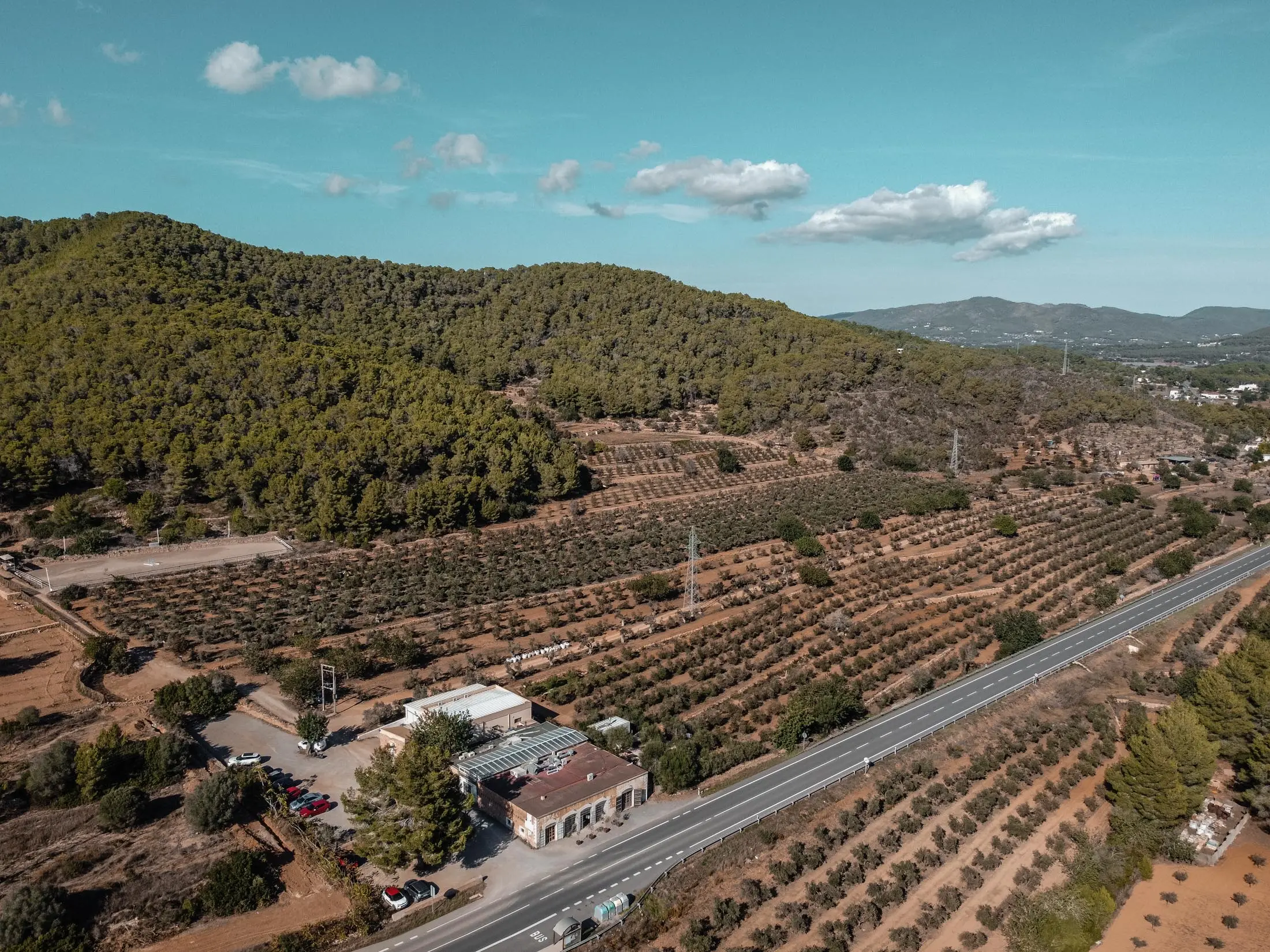 Vista aérea del trull y olivos